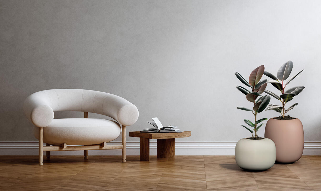 Hydrokulturpflanzen und Mietpflanzen in Berlin und Potsdam pflanzenpflege firma