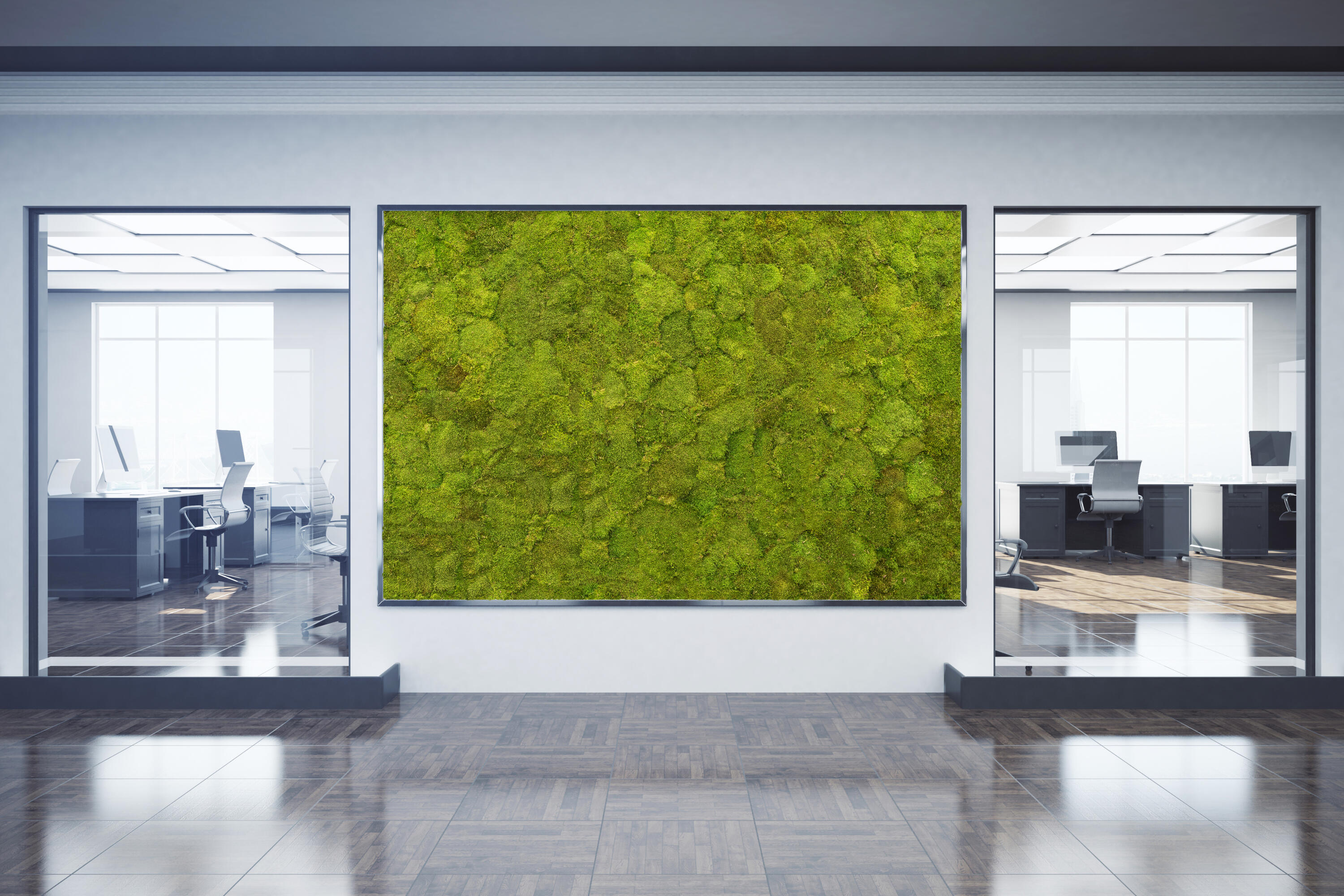 Professionelle Raumbegrünung und Mietpflanzen Berlin Nachhaltige Innenraumbegrünung und Mietpflanzen Berlin