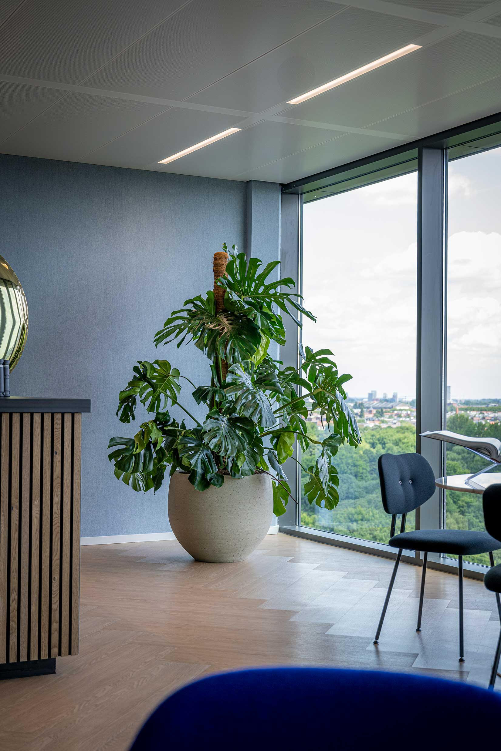 Gruenpflege Berlin Potsdam Pflanzenexperte